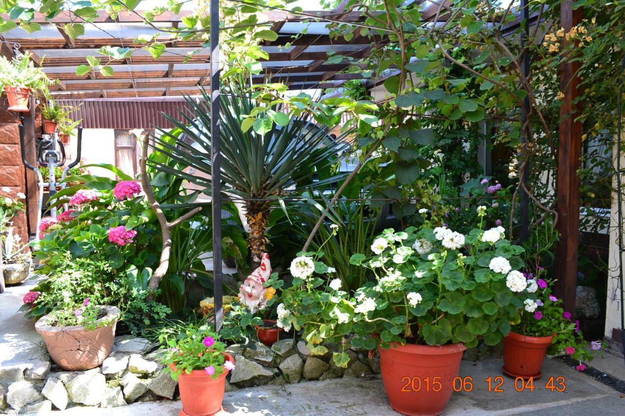 U Palycha Guest House Sochumi Exterior foto