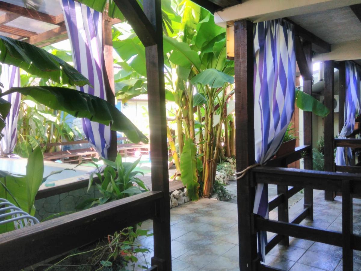 U Palycha Guest House Sochumi Exterior foto