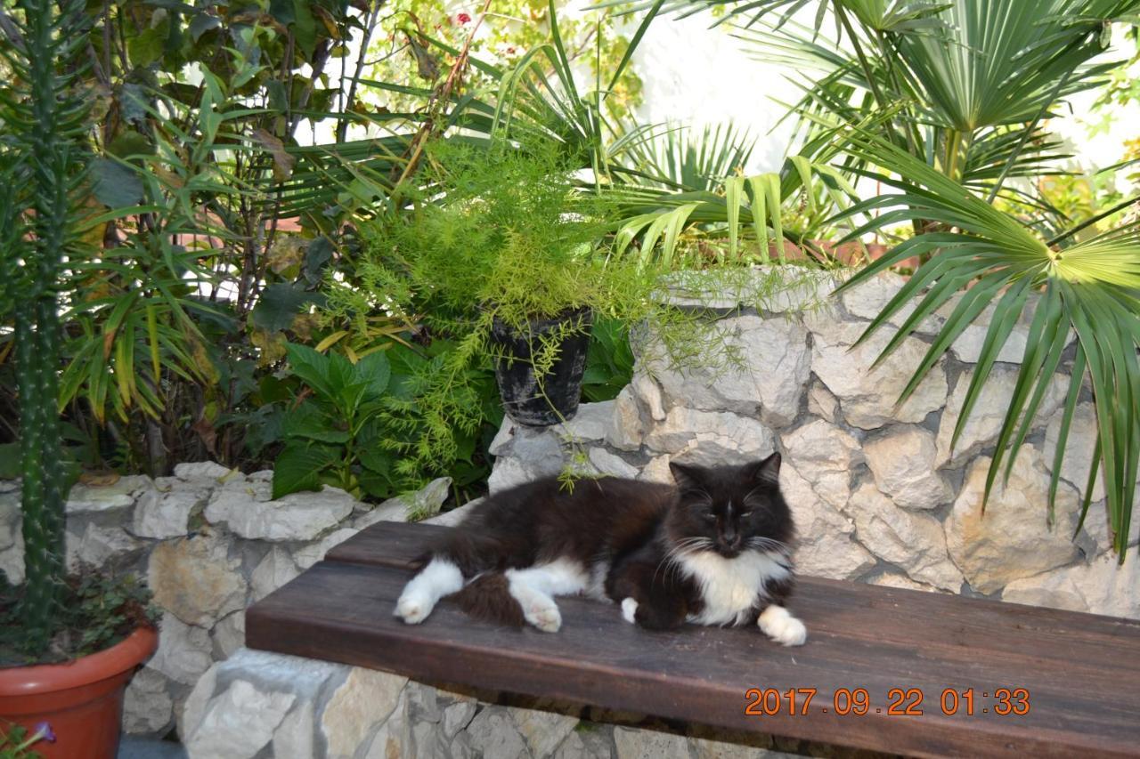 U Palycha Guest House Sochumi Exterior foto